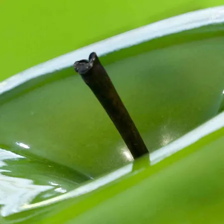 Ibis Styles Lille Aeroport 3* Lesquin